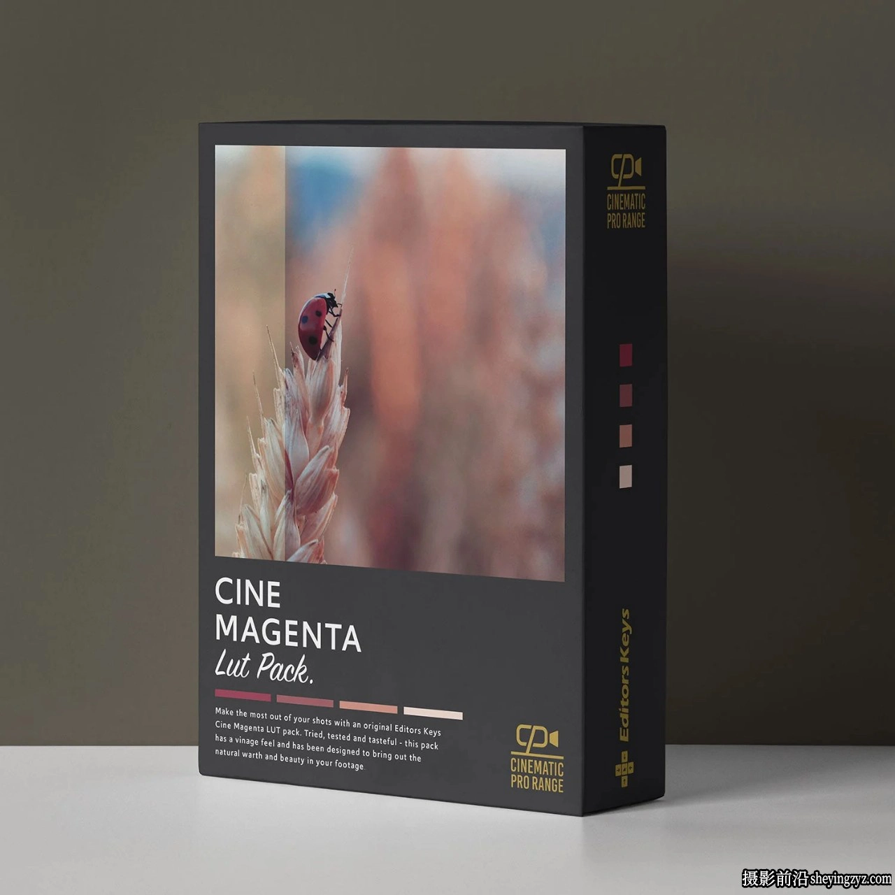 Editorskeys-专业版电影LUT预设5套合集 Cinematic PRO Lut 5 Pack