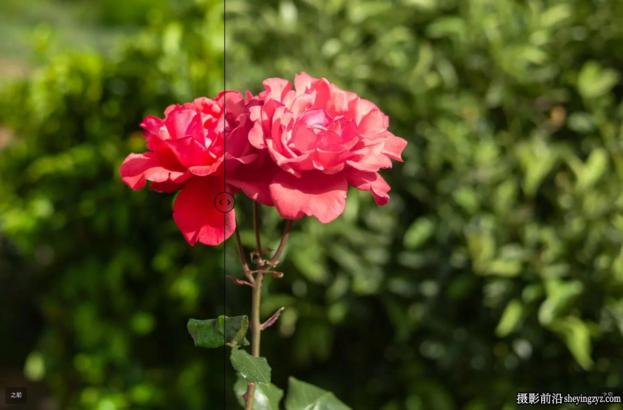Cobalt Image - 佳能EOS R5 Mark II Adobe v3.0相机校准基础包
