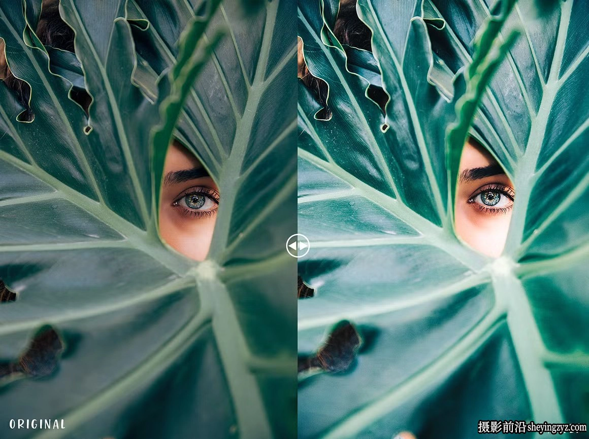 VSCOcam灵感Lightroom预设 VSCOcam Inspired Lightroom presets