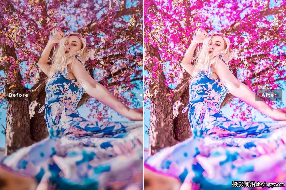 免费LR预设-温暖胶片人像调色LR预设 Hollyhock Lightroom Presets