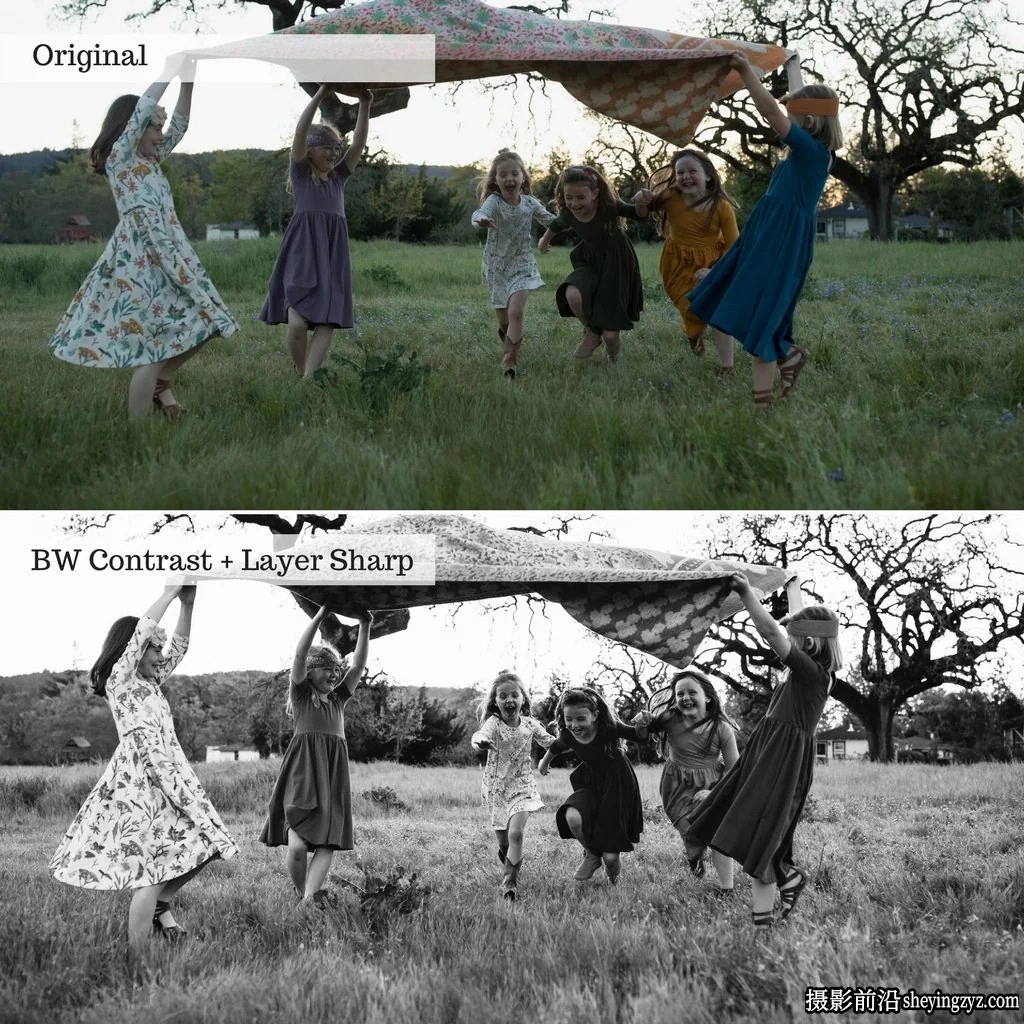 The Luxe Lens - 好莱坞黑白复古胶片LR预设Black White Presets
