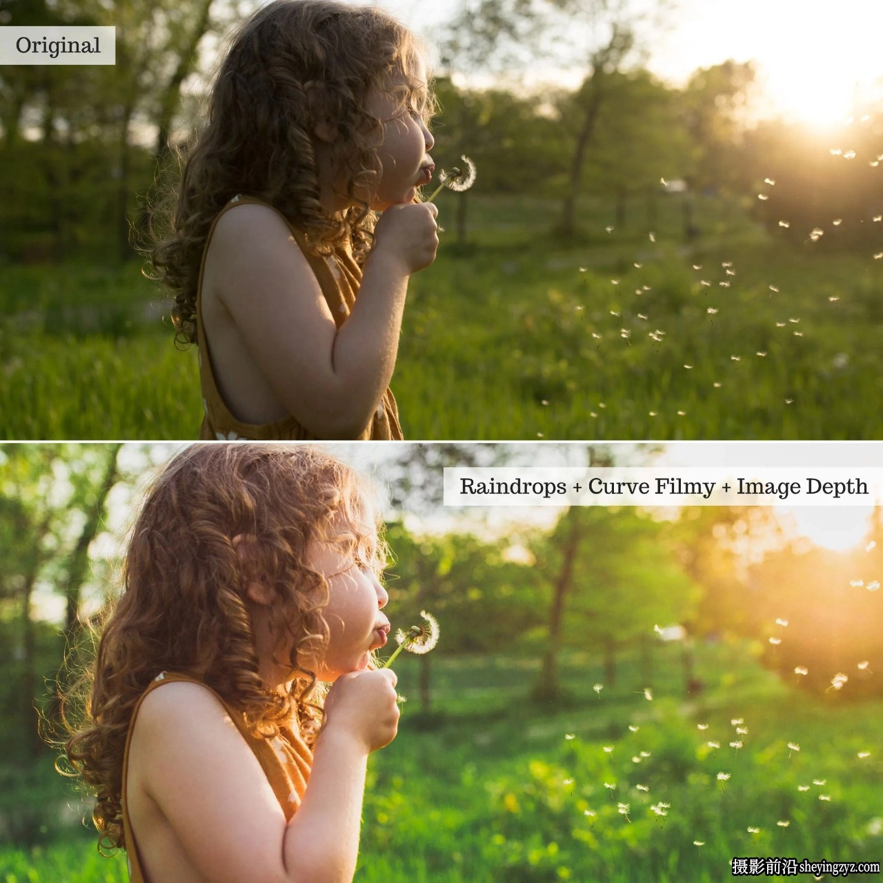 The Luxe Lens-春夏家庭人像调色LR预设Honey Spring Summer Presets