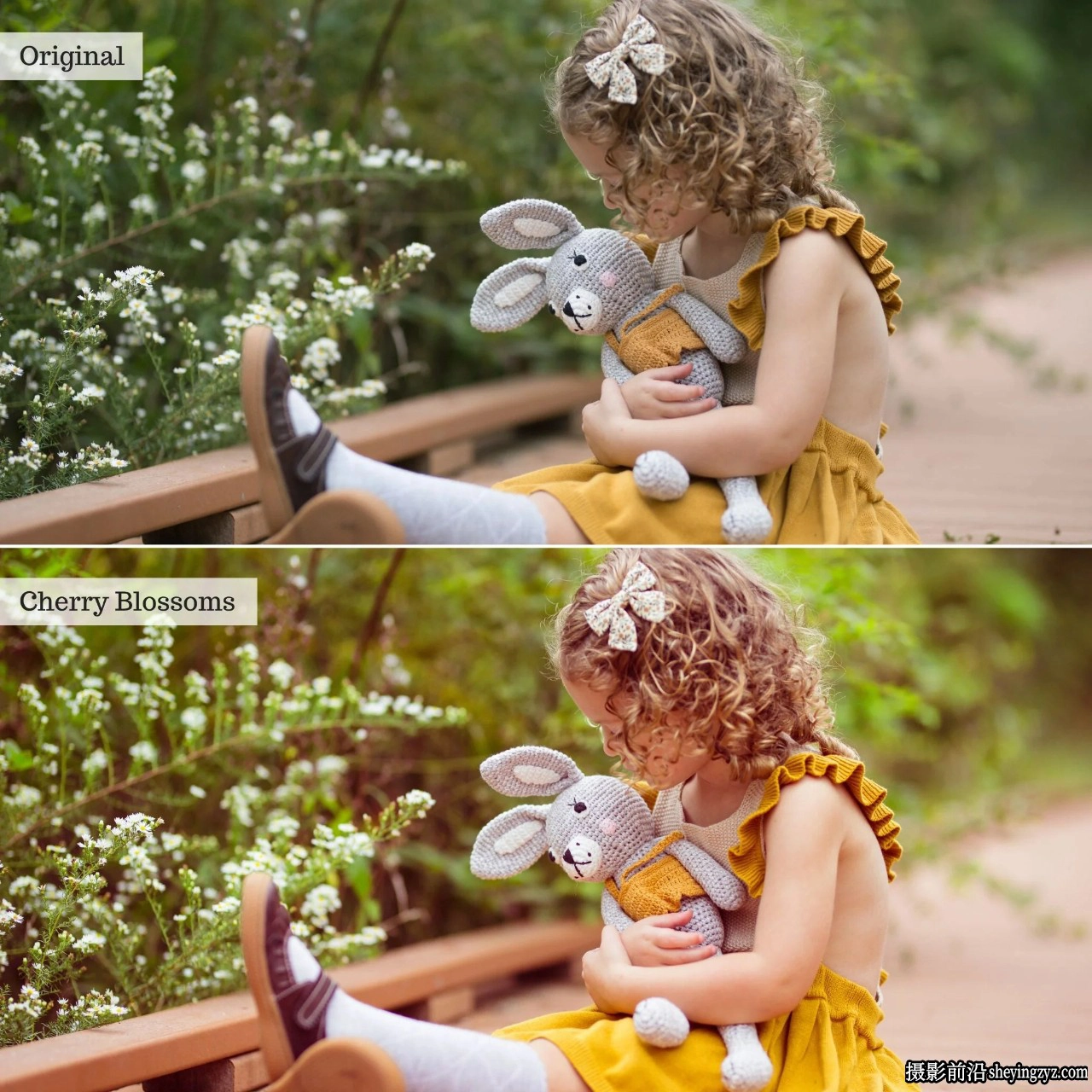 The Luxe Lens-春夏家庭人像调色LR预设Honey Spring Summer Presets