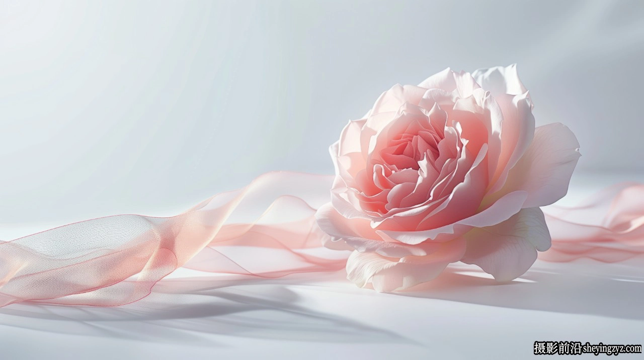 情人节背景素材 #2,22xJPEG