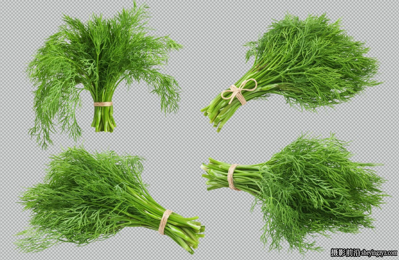 52种沙拉配菜绿叶蔬菜透明PNG免扣素材 52xPNG