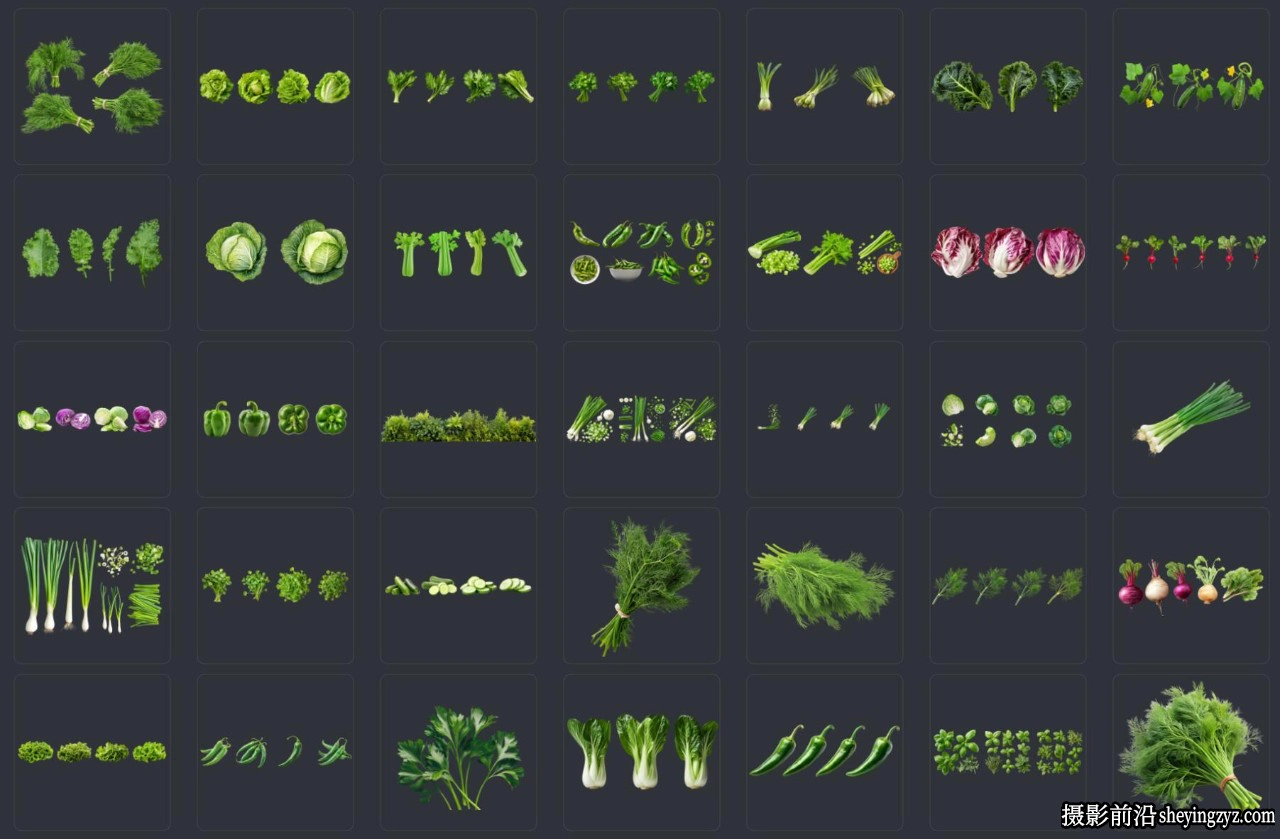 52种沙拉配菜绿叶蔬菜透明PNG免扣素材 52xPNG