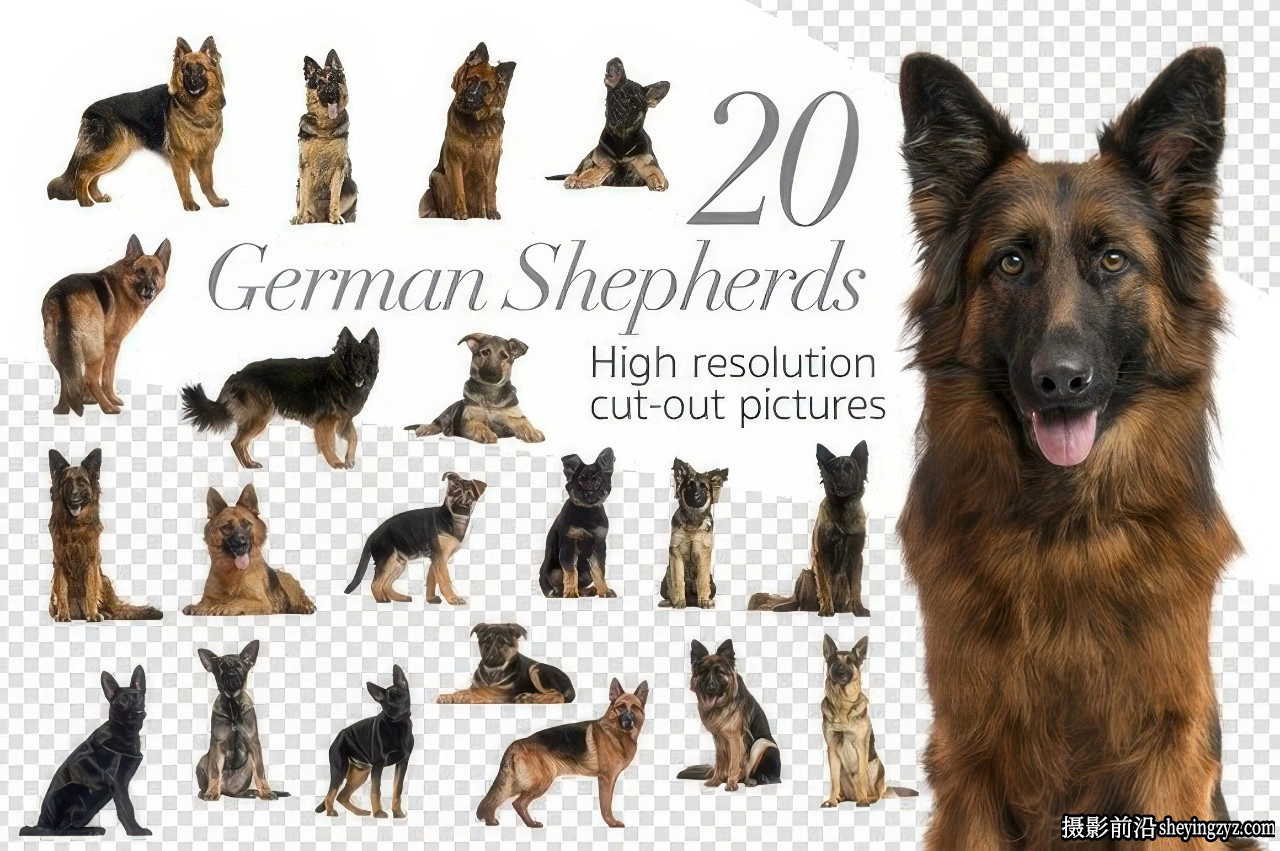 20只德国牧羊犬PNG透明免扣素材合集合成素材