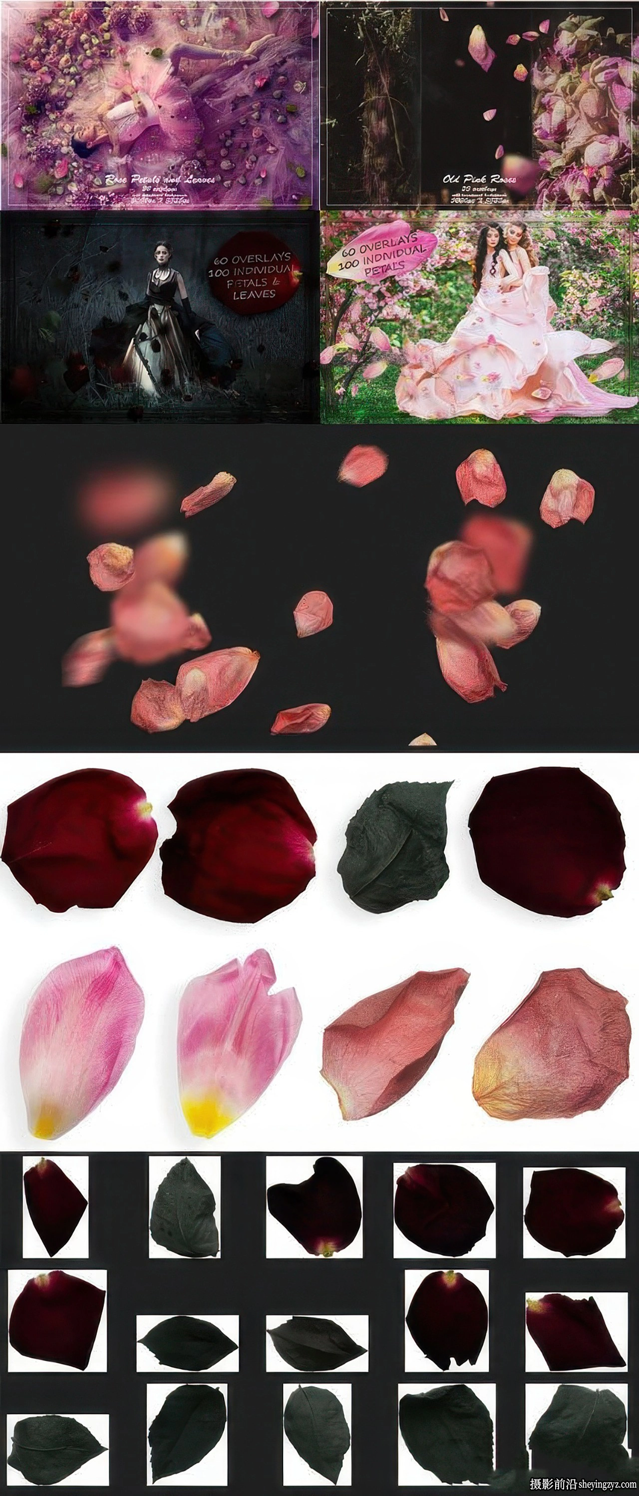 花瓣与叶子PNG套装 - 500+ Photoshop叠加合集