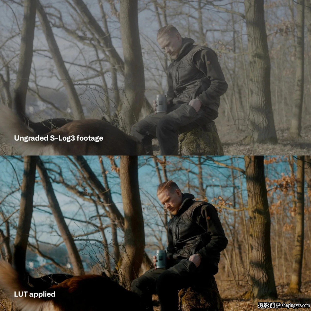 索尼相机精选SLog3电影级LUT预设 Cinem8 - Sony S-Log3 Cinematic LUTs