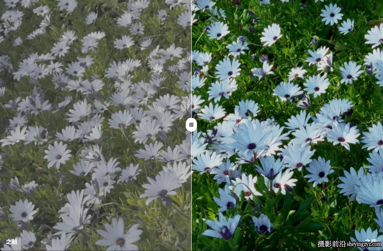 iPhone电影一键调色LUT预设 Dopamine Frame iPhone Looks Video LUTs