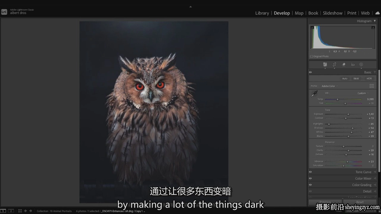 Albert Dros - 风光摄影后期Lightroom调色大师班教程-中英字幕