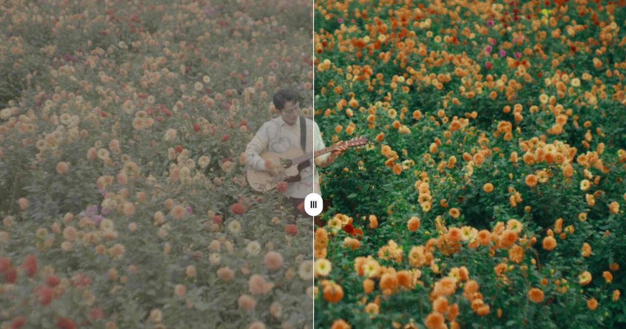 Dopamine Frame –真实柯达胶片模拟色彩分级达芬奇调色节点+LUT+教程