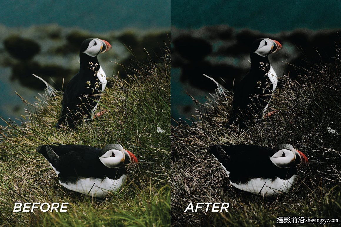 冰岛旅拍人文风光调色LR预设手机调色滤镜Iceland Lightroom Presets