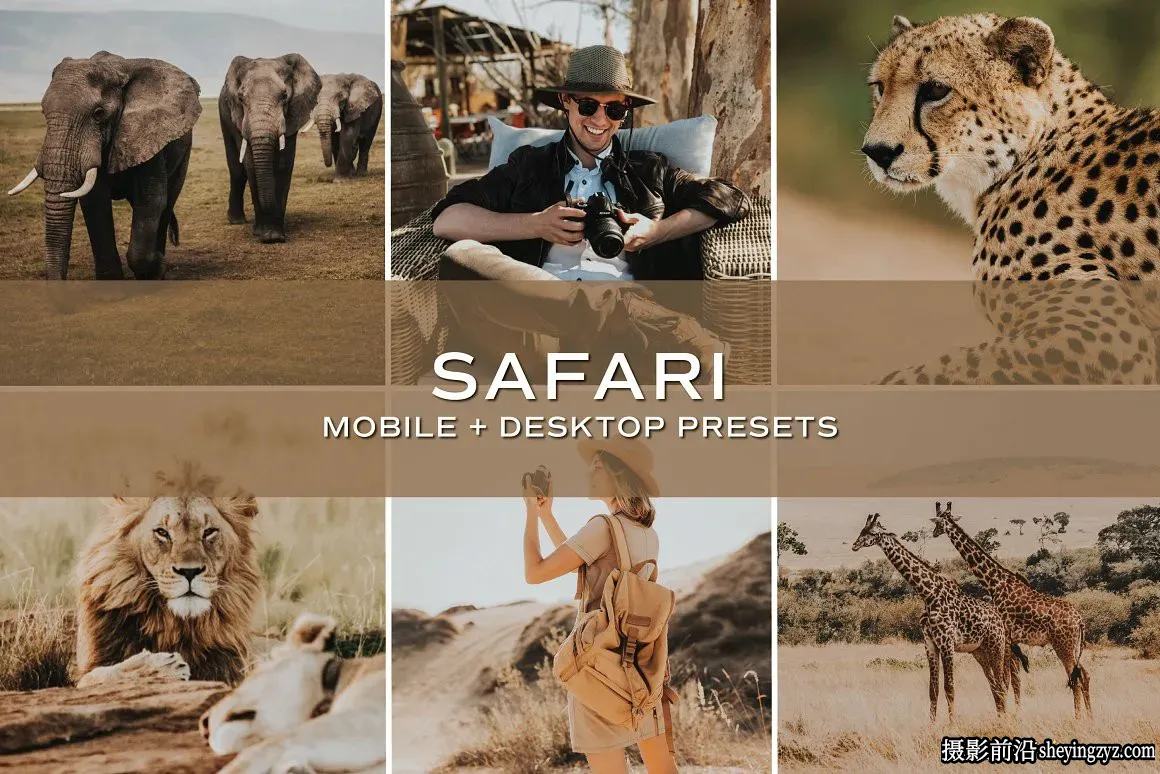旅拍野生动物调色LR预设+手机调色滤镜 Safari Lightroom Presets
