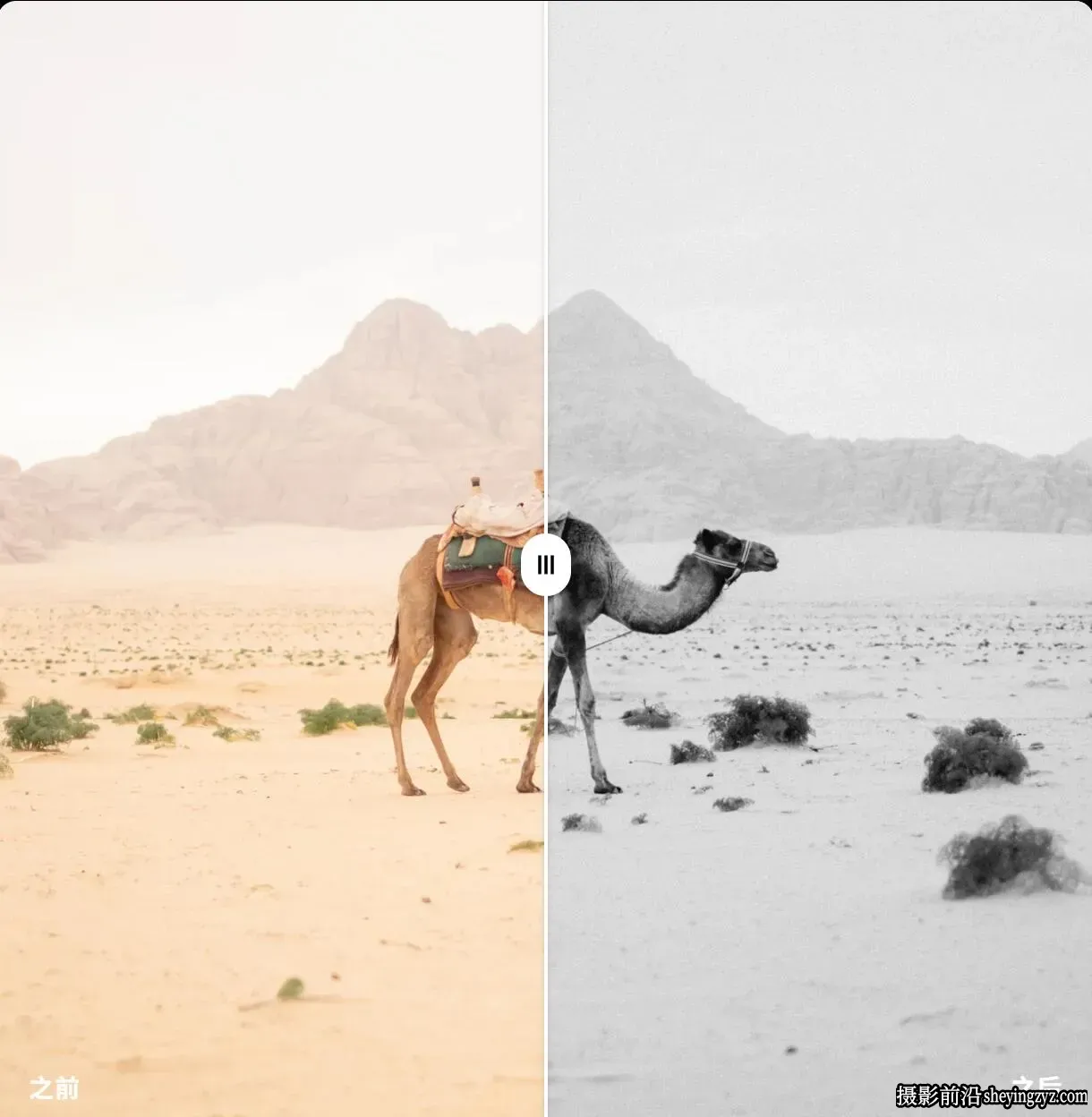 电影黑白胶片模拟LR预设Dopamine Frame - Black Looks Photo Presets
