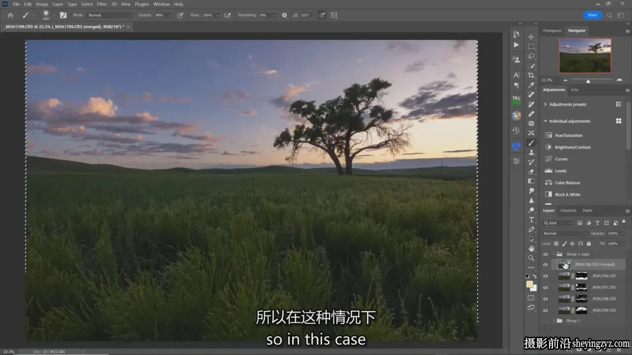 摄影师Nick Page风景摄影师必备Photoshop教程（第二版）中英字幕