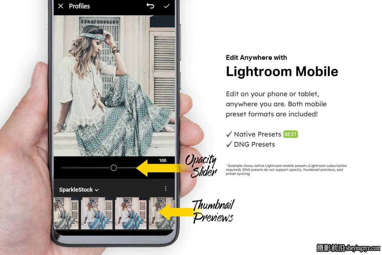 波西米亚电影人像调色LR预设 Bohemian Light  Presets and LUTs
