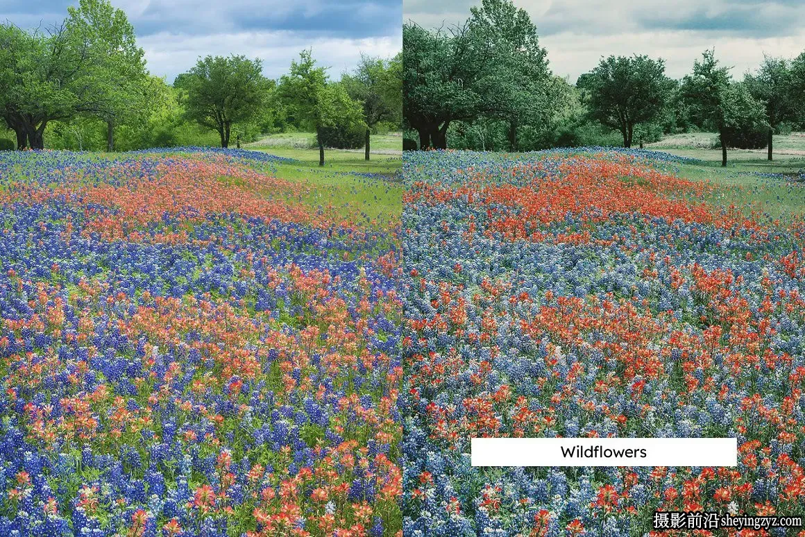 旅行户外色彩调色LR/LUT预设 Meadow Lightroom Presets
