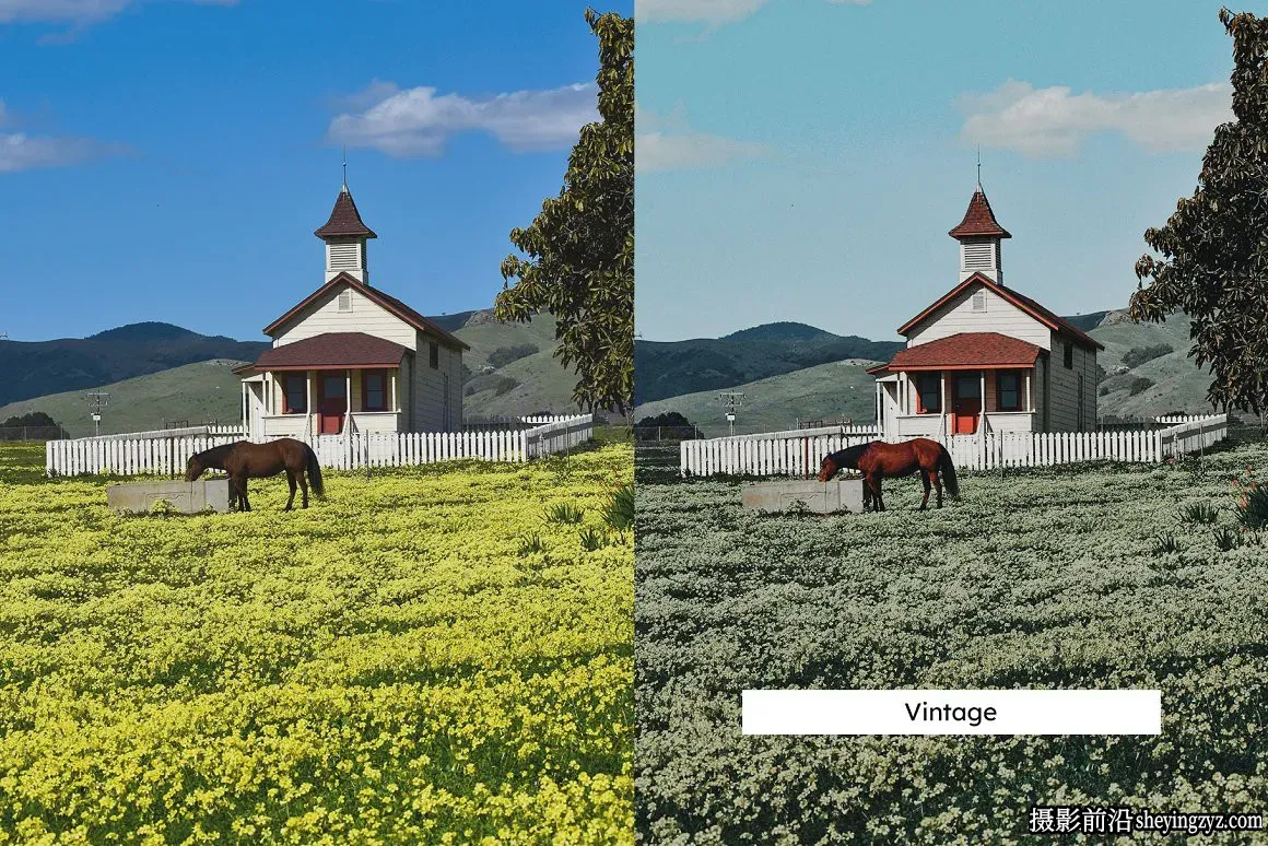 旅行户外色彩调色LR/LUT预设 Meadow Lightroom Presets