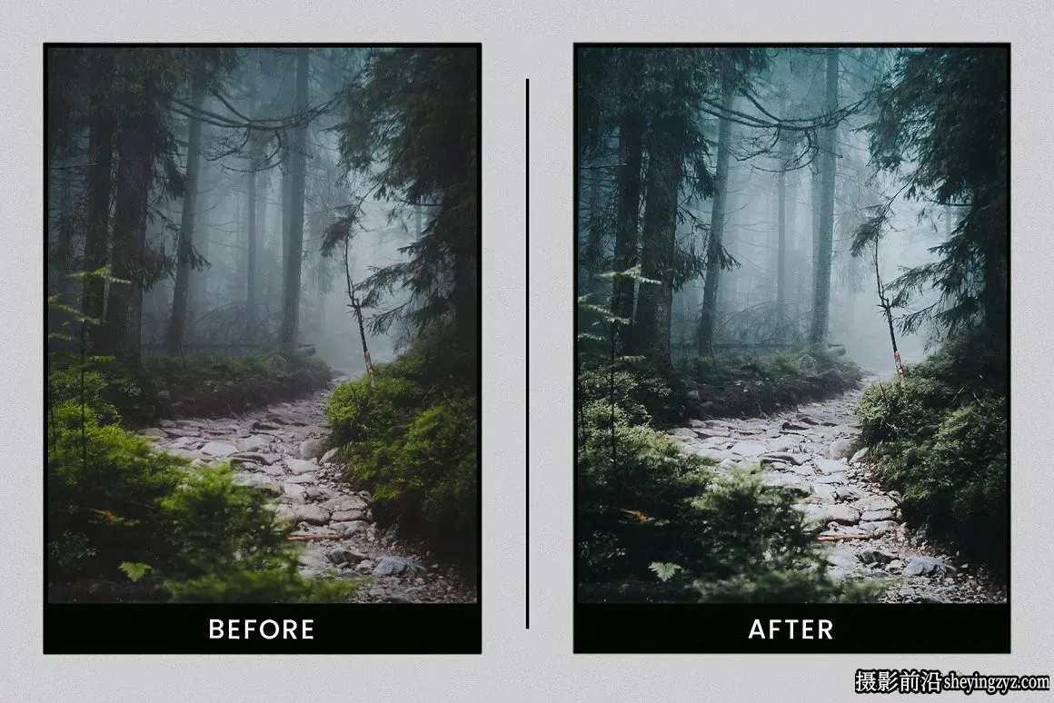 森系质感质感电影调色LR预设 Lightroom Presets Evergreen Clean