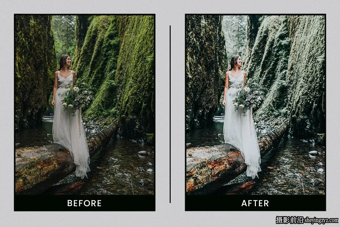 森系质感质感电影调色LR预设 Lightroom Presets Evergreen Clean