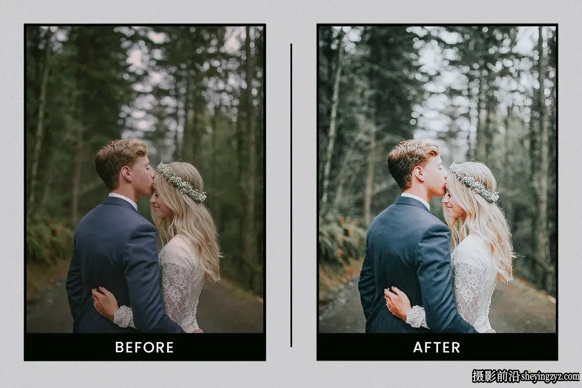 森系质感质感电影调色LR预设 Lightroom Presets Evergreen Clean