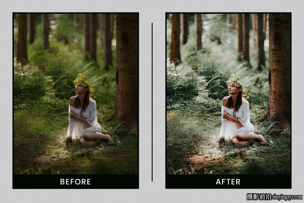 森系质感质感电影调色LR预设 Lightroom Presets Evergreen Clean