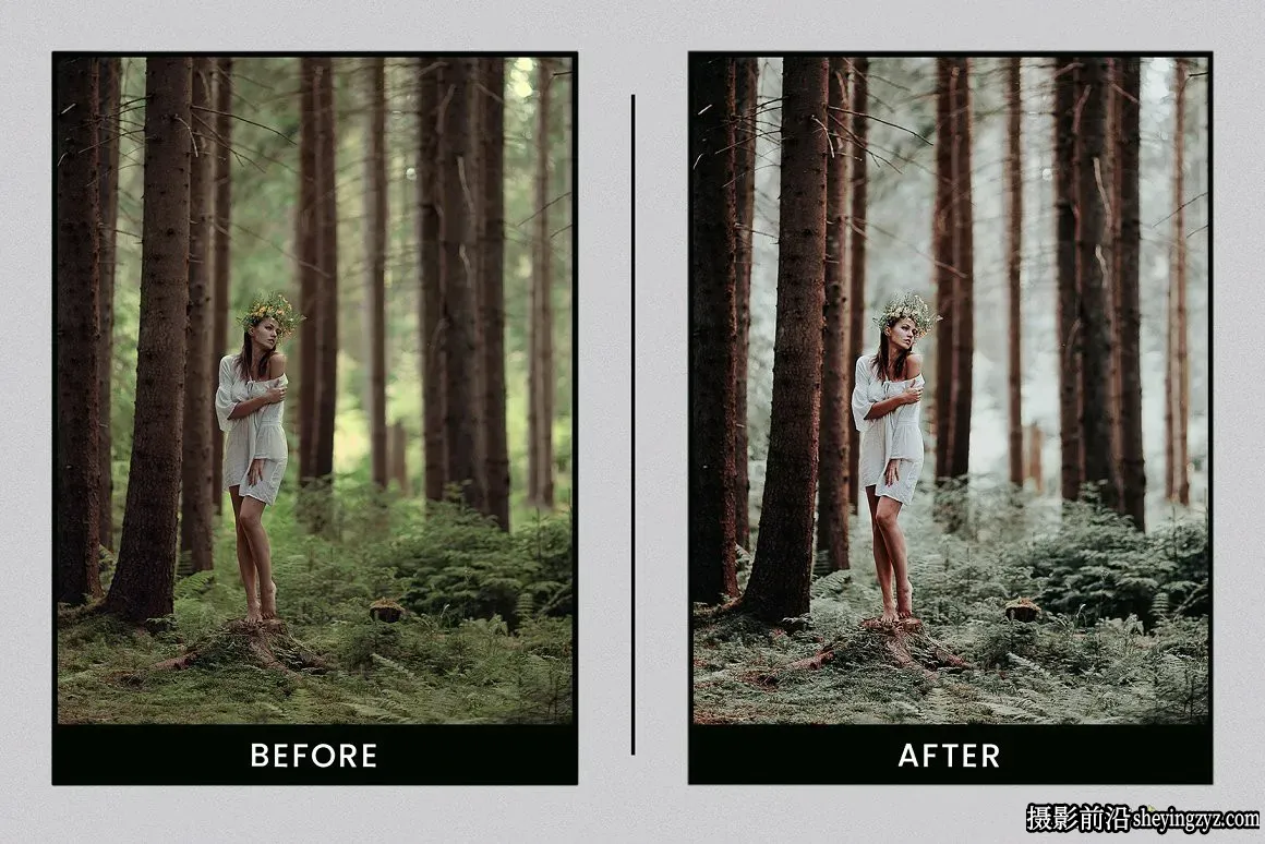 森系质感质感电影调色LR预设 Lightroom Presets Evergreen Clean