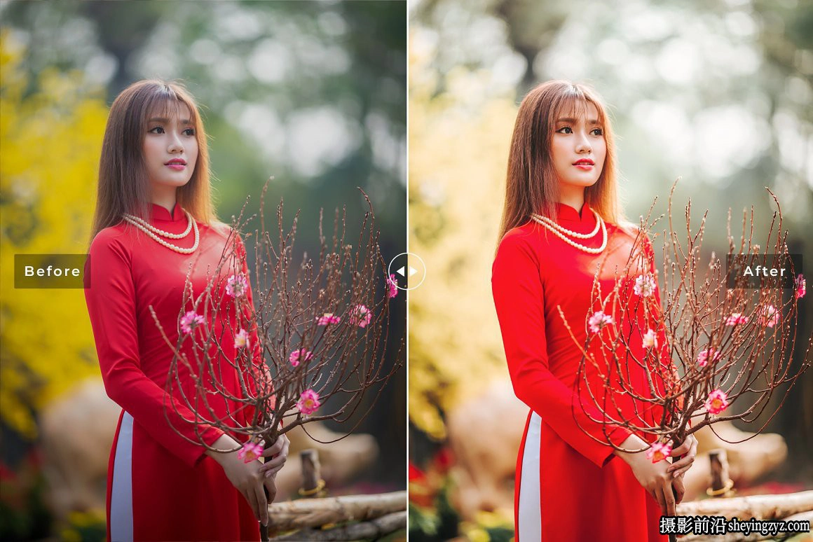 免费LR预设-电影胶片人像调色LR预设 Dahlia Pro Lightroom Presets
