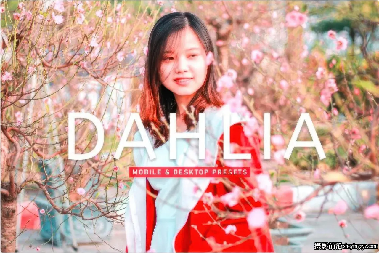 免费LR预设-电影胶片人像调色LR预设 Dahlia Pro Lightroom Presets