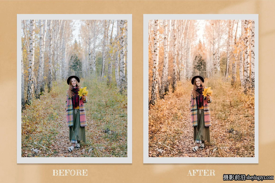 秋季人像后期调色Lr预设及LUT调色预设 Harvest Lightroom LUTs