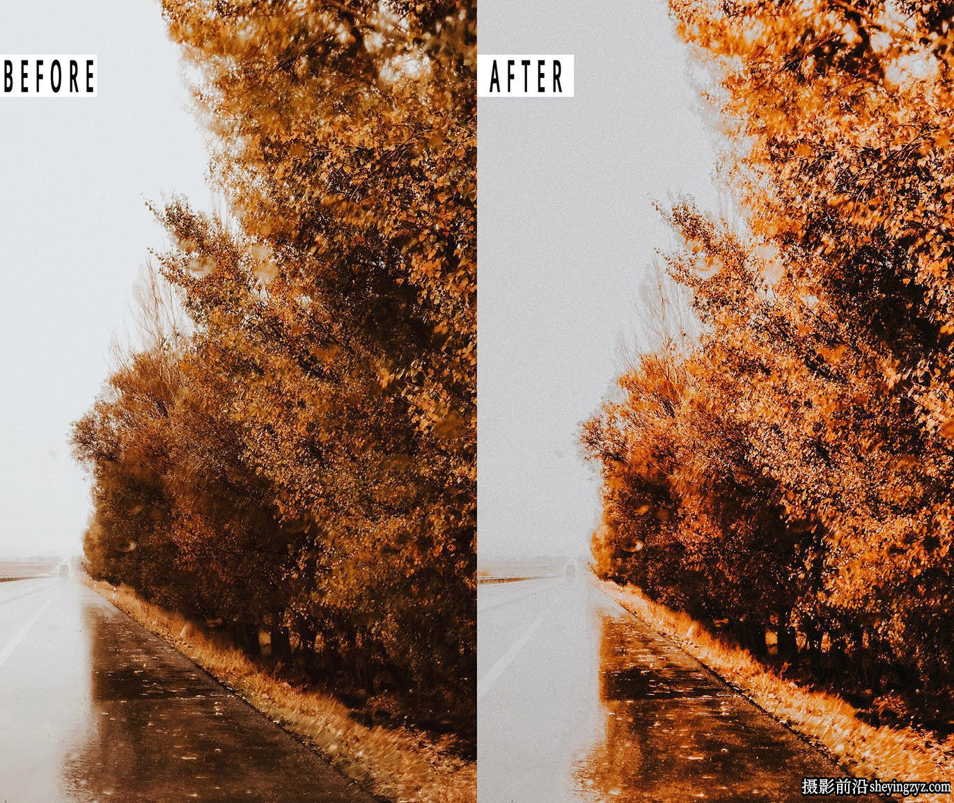 浓郁秋季色彩胶片人像LR预设手机调色滤镜 Autumn Lightrom Presets