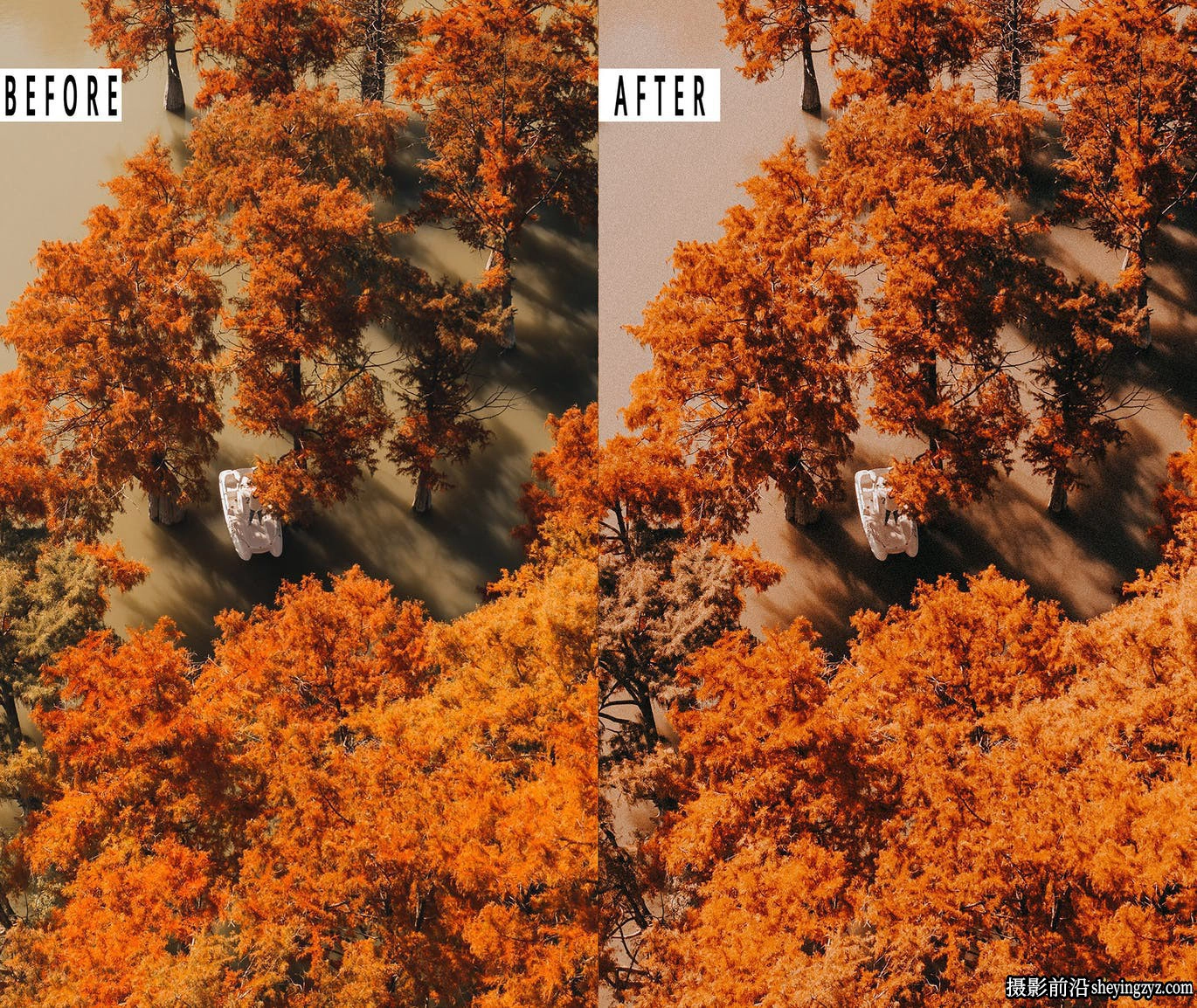 浓郁秋季色彩胶片人像LR预设手机调色滤镜 Autumn Lightrom Presets