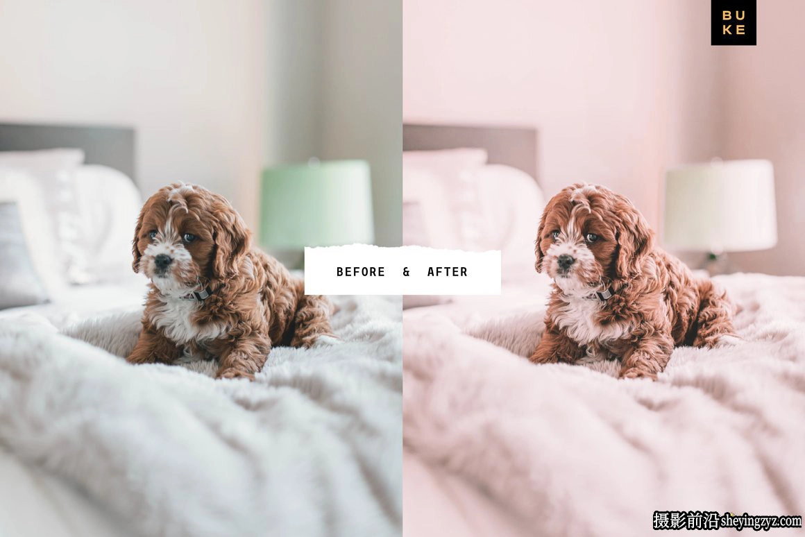 玫瑰金电影色彩调色LR预设手机滤镜 Candy Rose Lightroom Presets