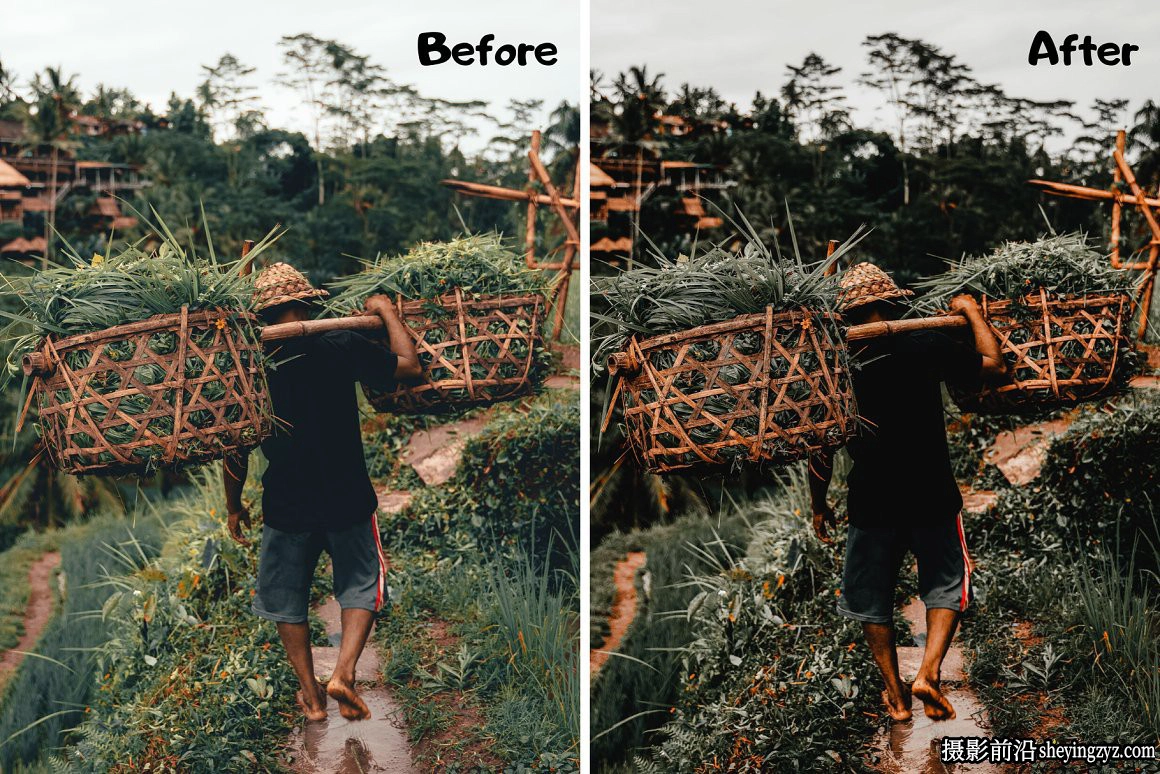 旅拍森系电影风光人像调色LR预设手机滤镜 Green Lightroom Presets