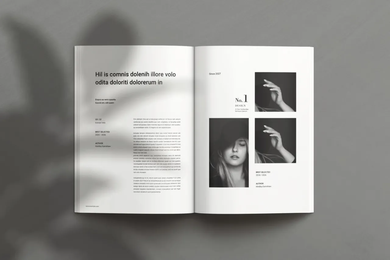 极简主义设计平面设计作品集提案布局InDesign模板