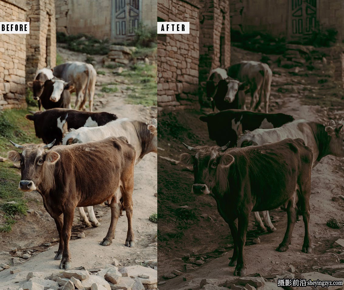 复古情绪胶片人像调色lr预设手机滤镜 Earthy Moody Lightrom Presets