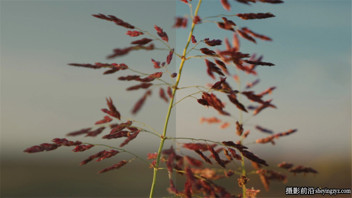 达芬奇节点-柯达2383电影胶片模拟色彩节点 Kodak 2383 PowerGrade