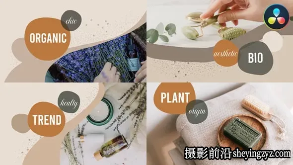 达芬奇模板-有机产品宣传片模板 VH-37184741