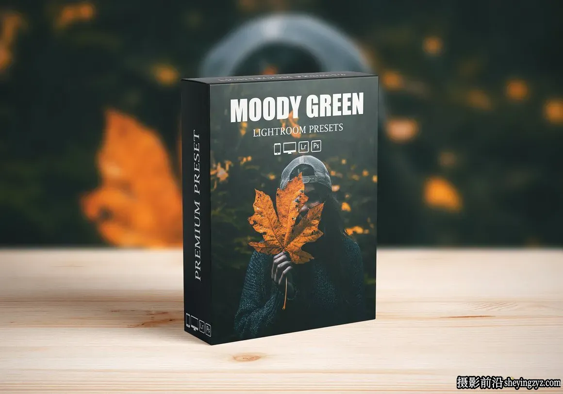 情绪电影风光人像调色LR预设Moody Dark Green Lightroom Presets