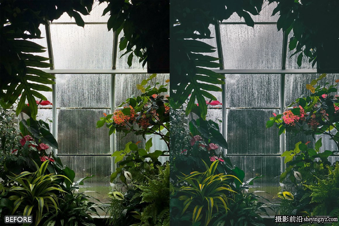 情绪电影风光人像调色LR预设Moody Dark Green Lightroom Presets