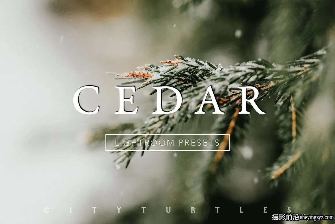 微妙情绪电影色彩LR预设 CEDAR Subtle Moody Lightroom Presets