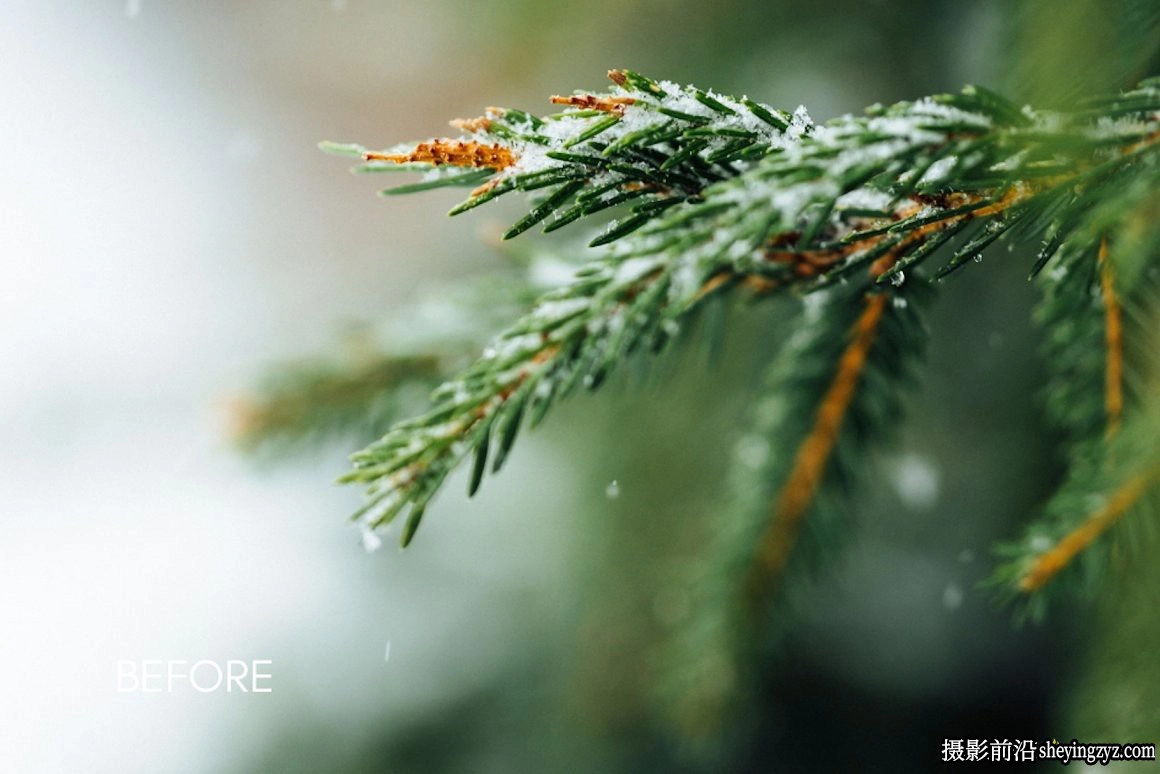 微妙情绪电影色彩LR预设 CEDAR Subtle Moody Lightroom Presets