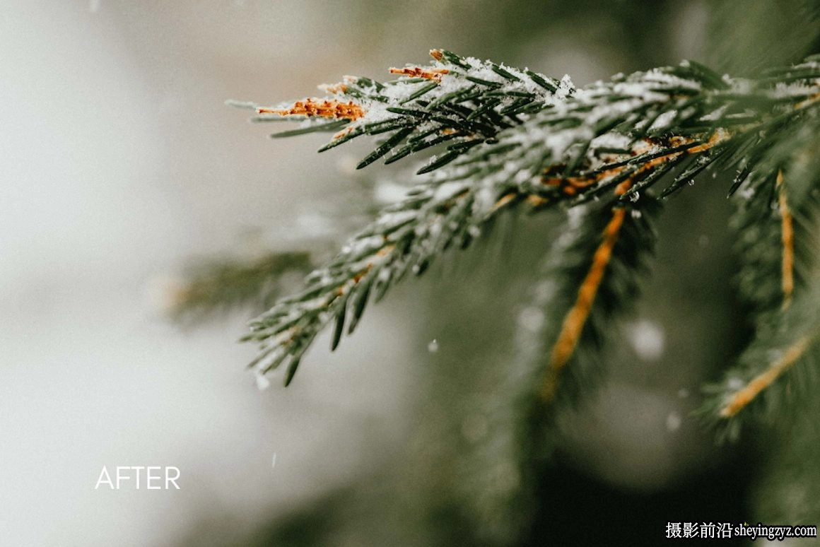 微妙情绪电影色彩LR预设 CEDAR Subtle Moody Lightroom Presets