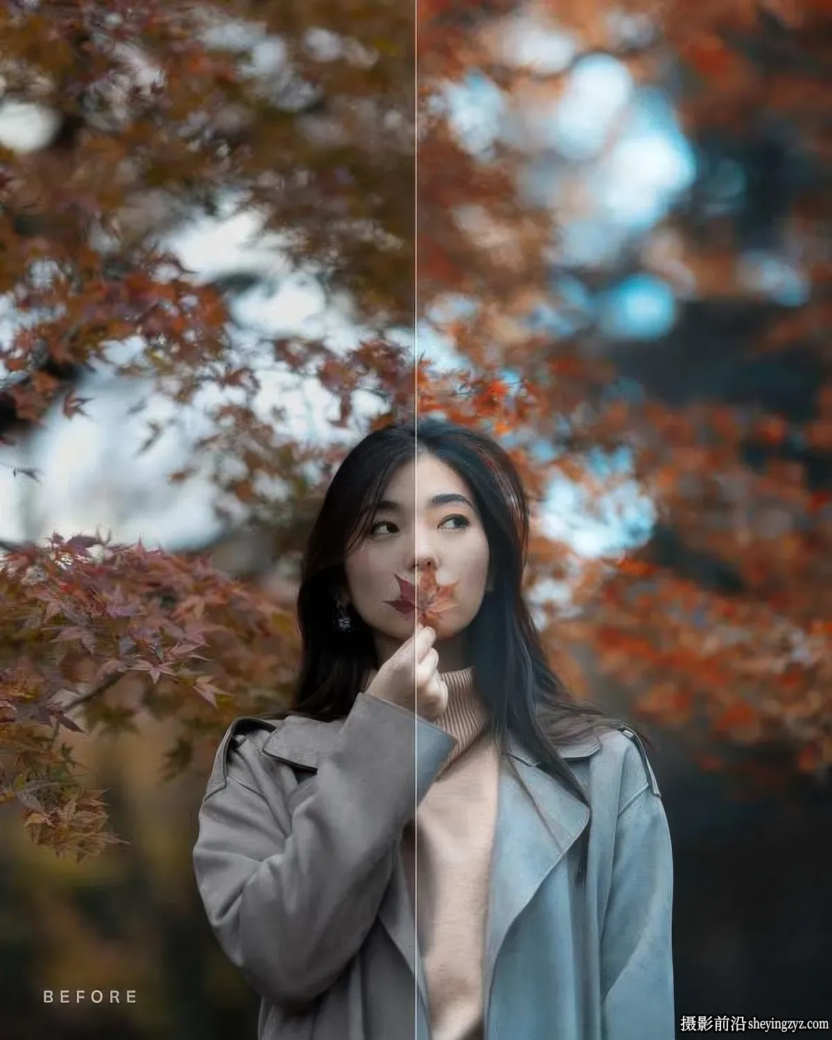 经典日系人像后期调色L预设+手机调色滤镜 Pat Kay Portrait Presets