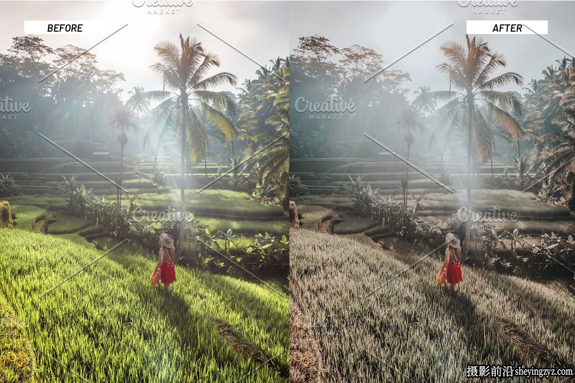 森系旅拍人像调色LR预设及手机调色滤镜 Jungle Lightroom Presets