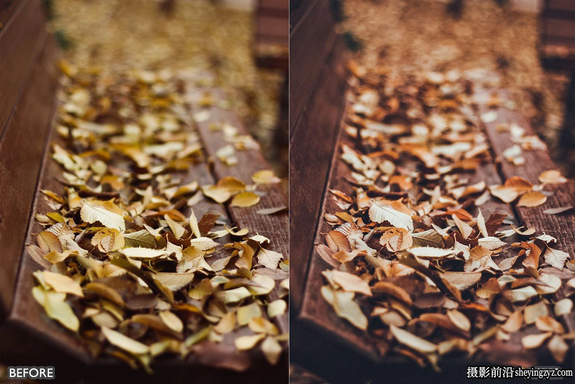 秋季电影风光调色LR预设手机滤镜 Autumn Vibrant Lightroom Presets