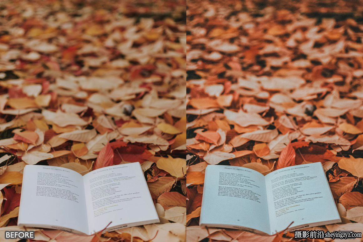 秋季电影风光调色LR预设手机滤镜 Autumn Vibrant Lightroom Presets