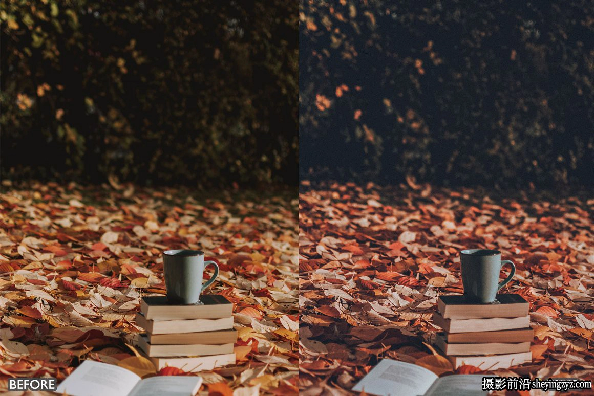 秋季电影风光调色LR预设手机滤镜 Autumn Vibrant Lightroom Presets