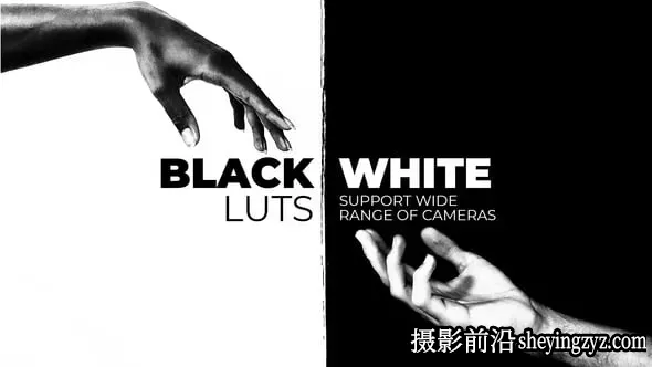 20种经典复古黑白电影胶片LUT调色预设Black and White LUTs